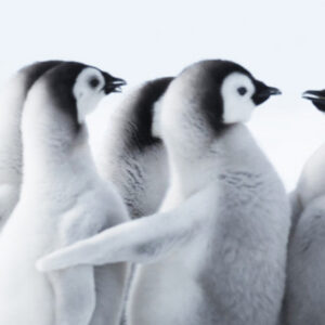 Linux Fundamentals