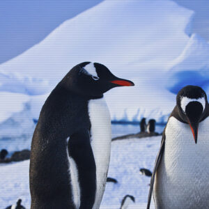 Linux Essentials